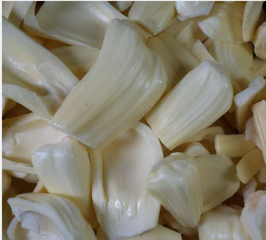 JackFruit Gumless Hybrid - Image 2